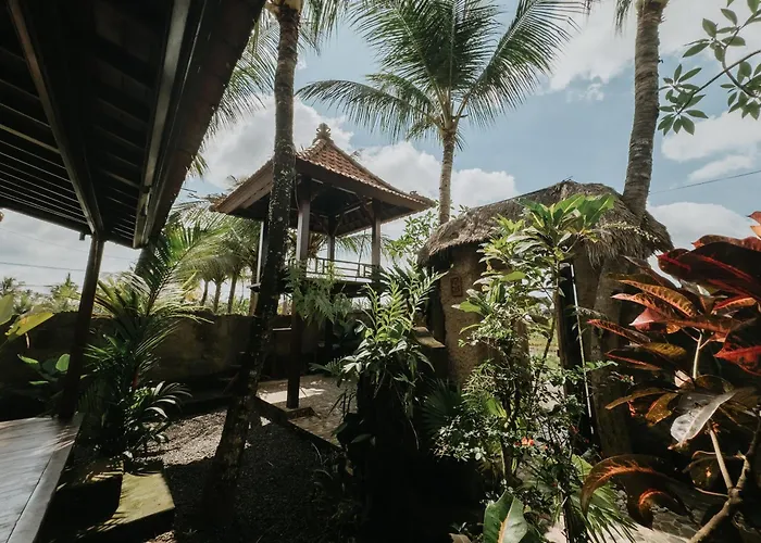 Villa Coconut Gold *