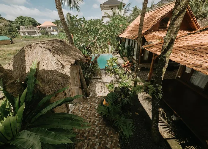 Villa Coconut Gold